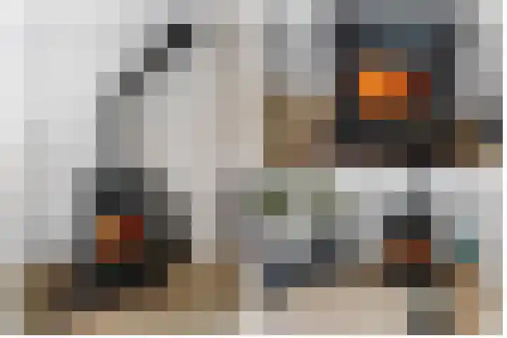 Zalmstraat 12 Ammerstol thumbnail 12