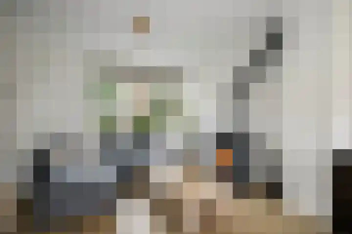 Zalmstraat 12 Ammerstol thumbnail 13