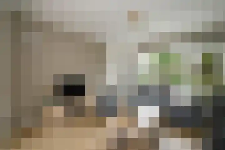 Zalmstraat 12 Ammerstol thumbnail 14