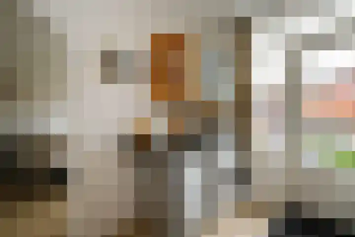 Zalmstraat 12 Ammerstol thumbnail 16