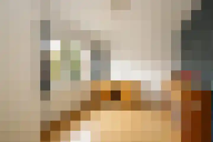 Zalmstraat 12 Ammerstol thumbnail 20