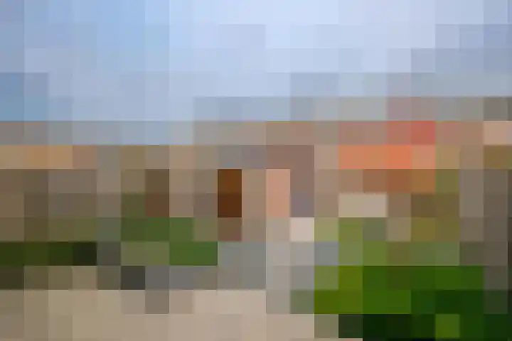 Zalmstraat 12 Ammerstol thumbnail 25