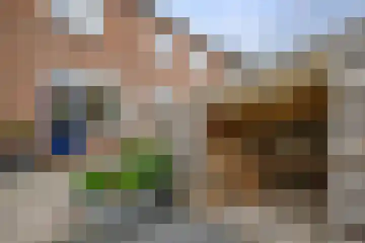 Zalmstraat 12 Ammerstol thumbnail 27