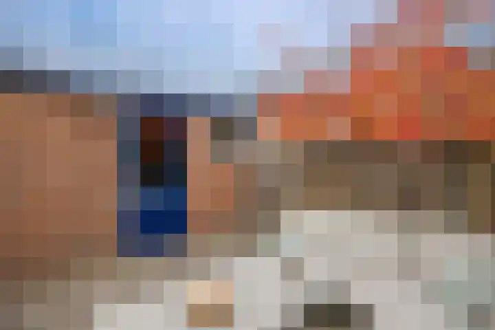 Zalmstraat 12 Ammerstol thumbnail 28