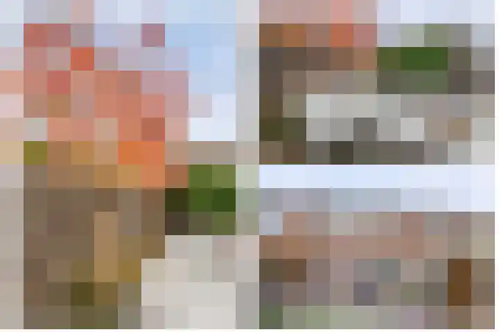 Zalmstraat 12 Ammerstol thumbnail 29