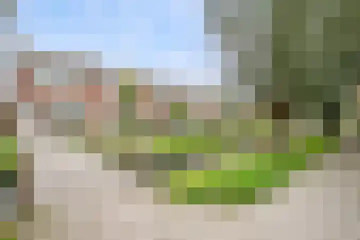 Zalmstraat 12 Ammerstol thumbnail 32
