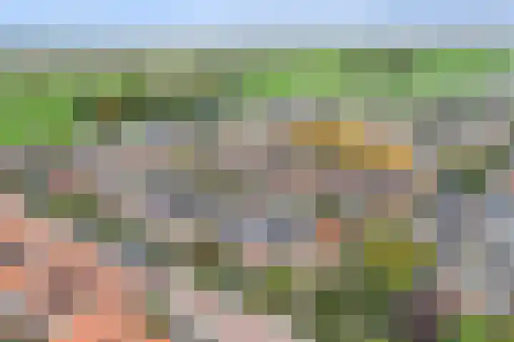 Zalmstraat 12 Ammerstol thumbnail 33