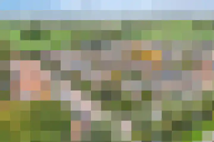 Zalmstraat 12 Ammerstol thumbnail 35