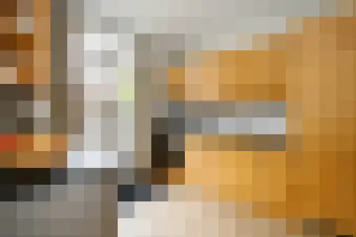 Zalmstraat 12 Ammerstol thumbnail 4