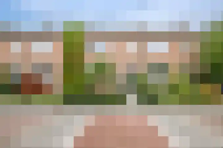 Zalmstraat 12 Ammerstol thumbnail 5