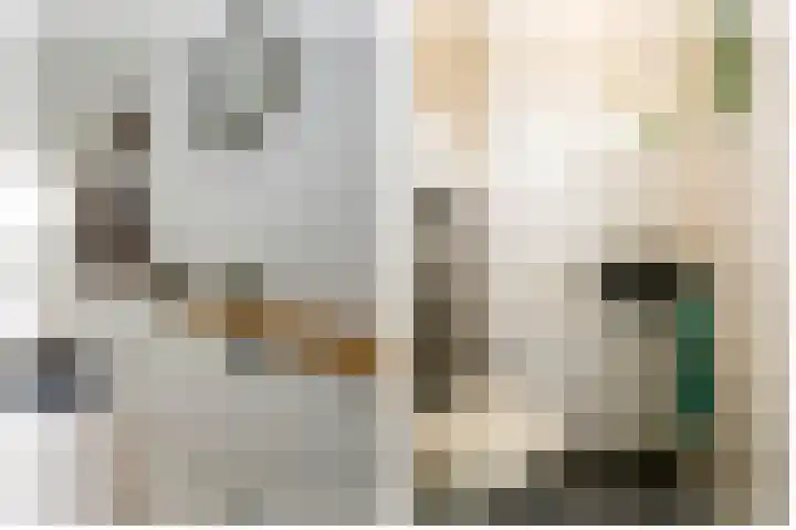 Zalmstraat 12 Ammerstol thumbnail 8