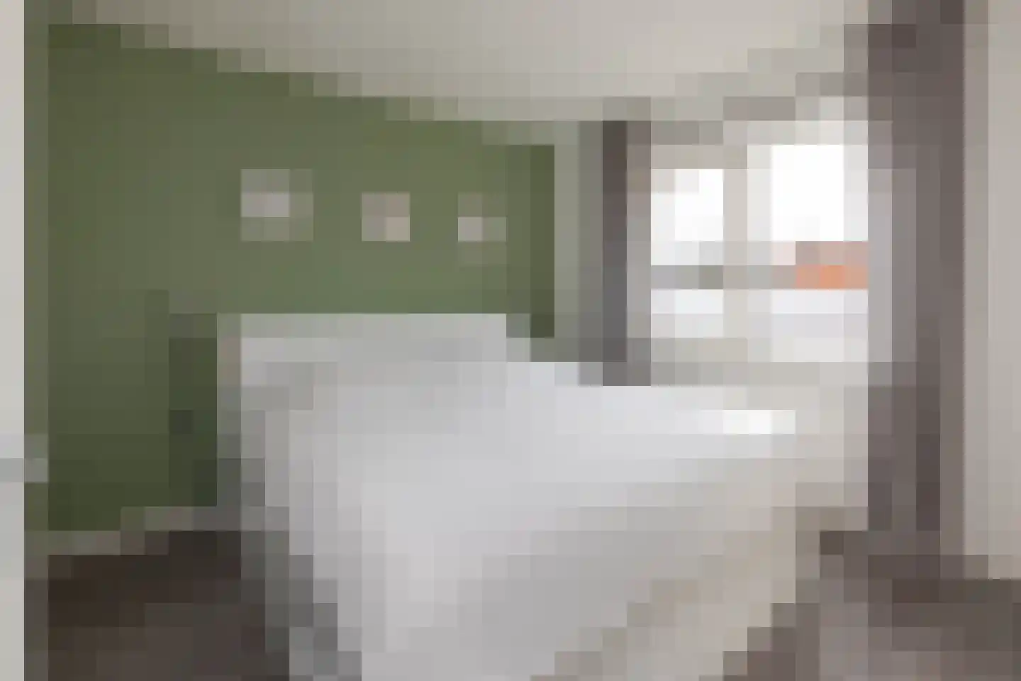 Zalmstraat 16 Hengelo thumbnail 17