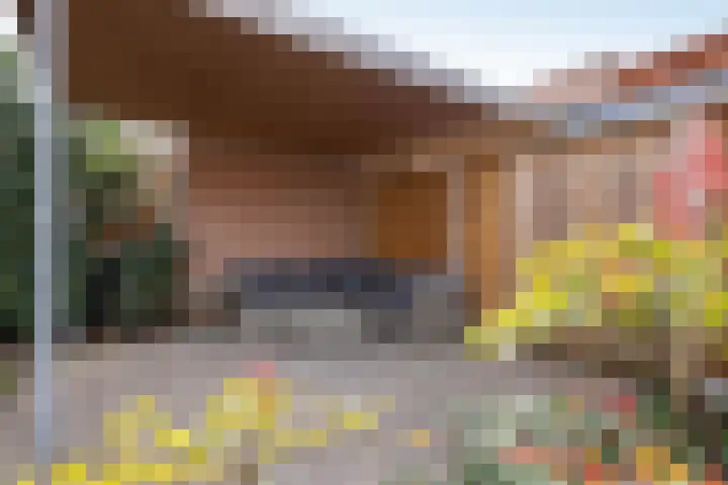 Zalmstraat 16 Hengelo thumbnail 26