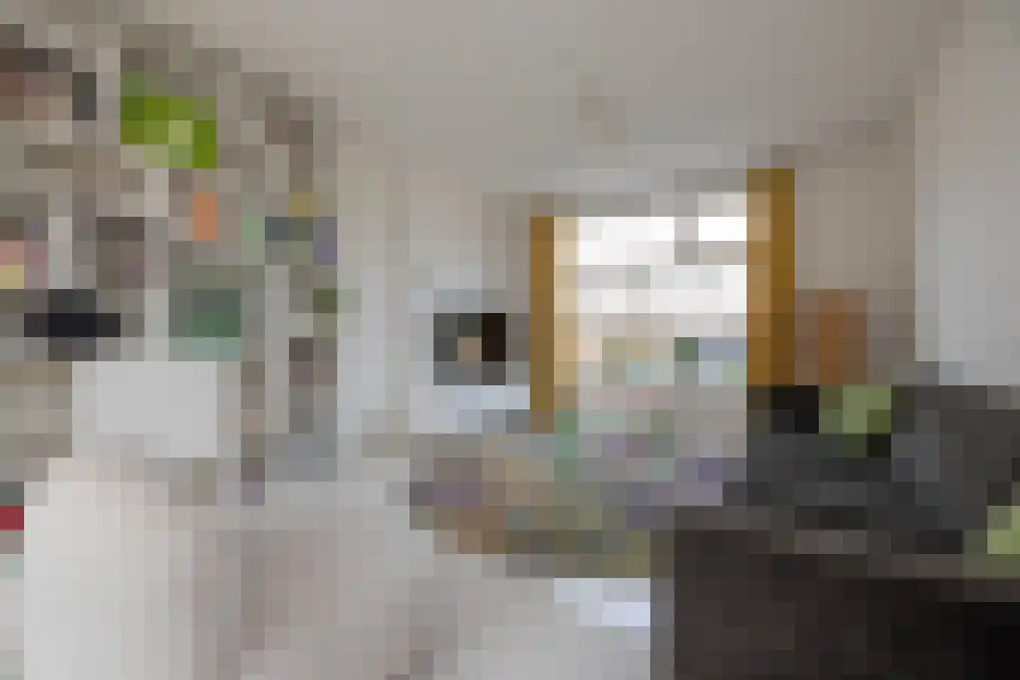 Zalmstraat 16 Hengelo thumbnail 4