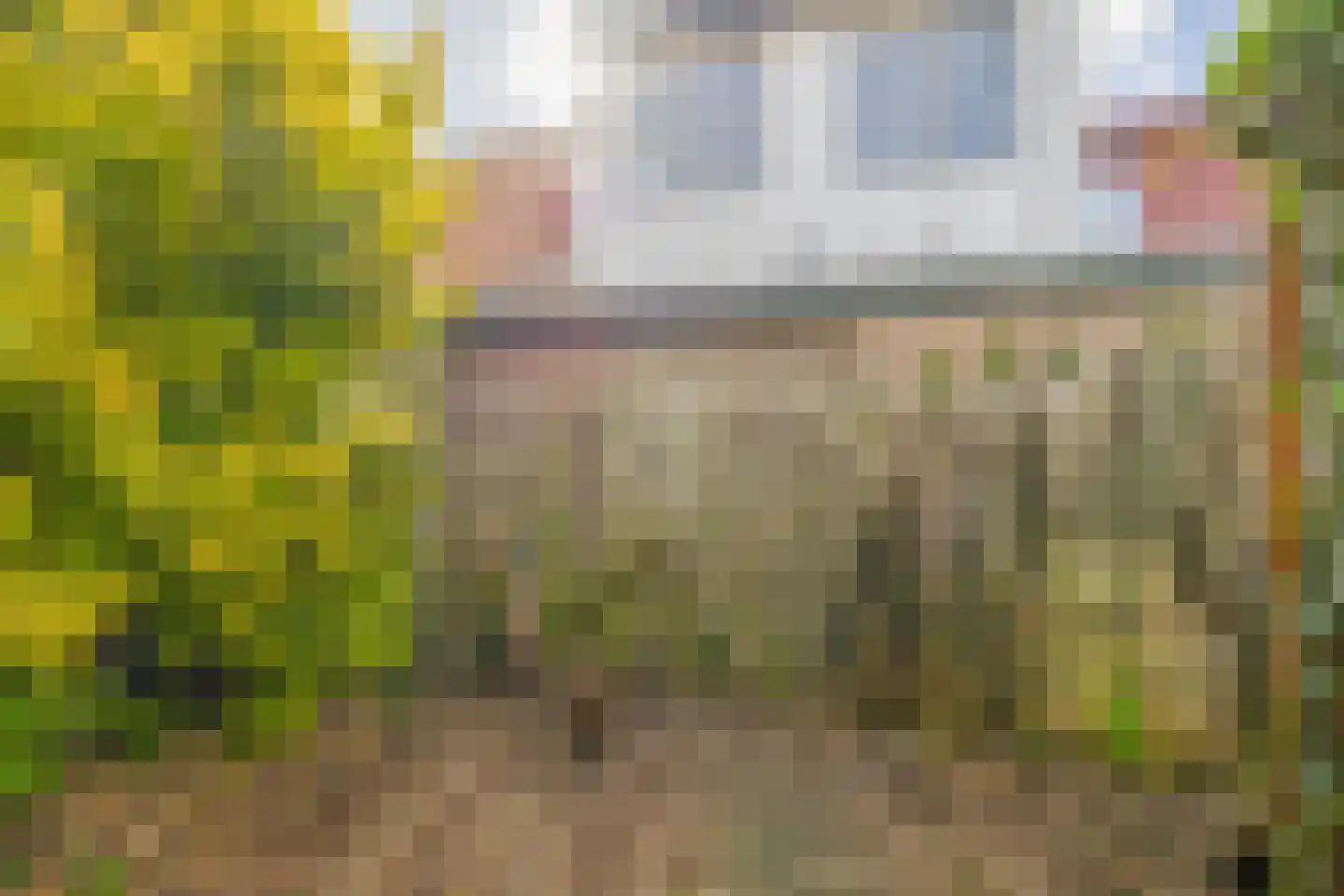 Zalmstraat 32 Schiedam thumbnail 21