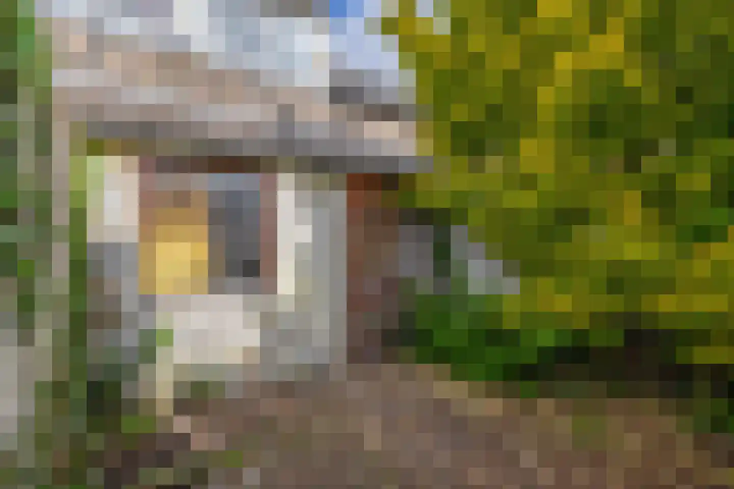 Zalmstraat 32 Schiedam thumbnail 24