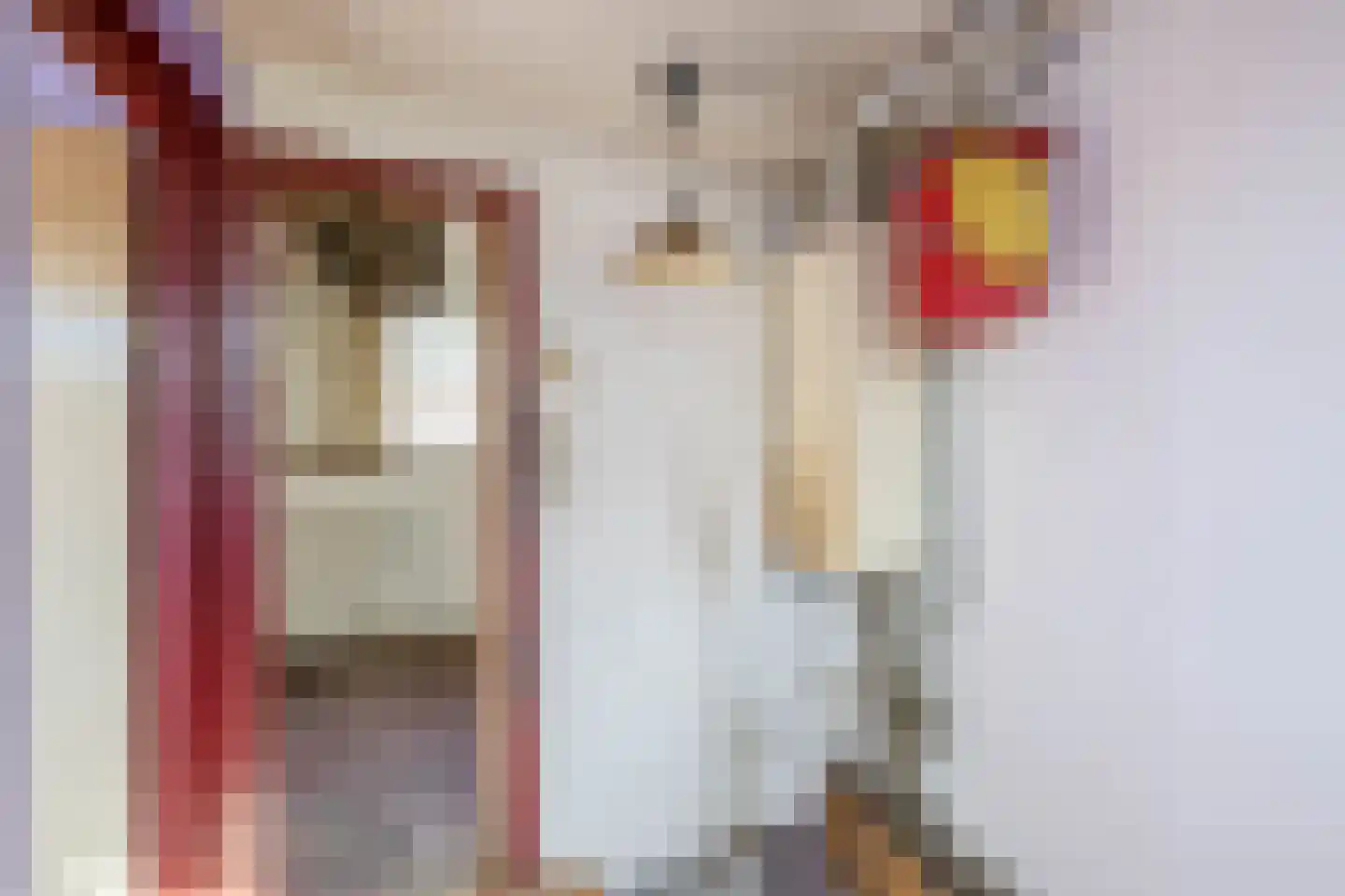 Zalmstraat 32 Schiedam thumbnail 26