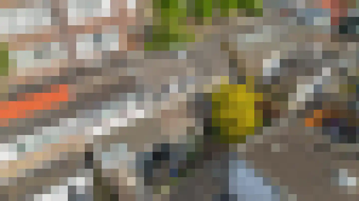 Zalmstraat 32 Schiedam thumbnail 34