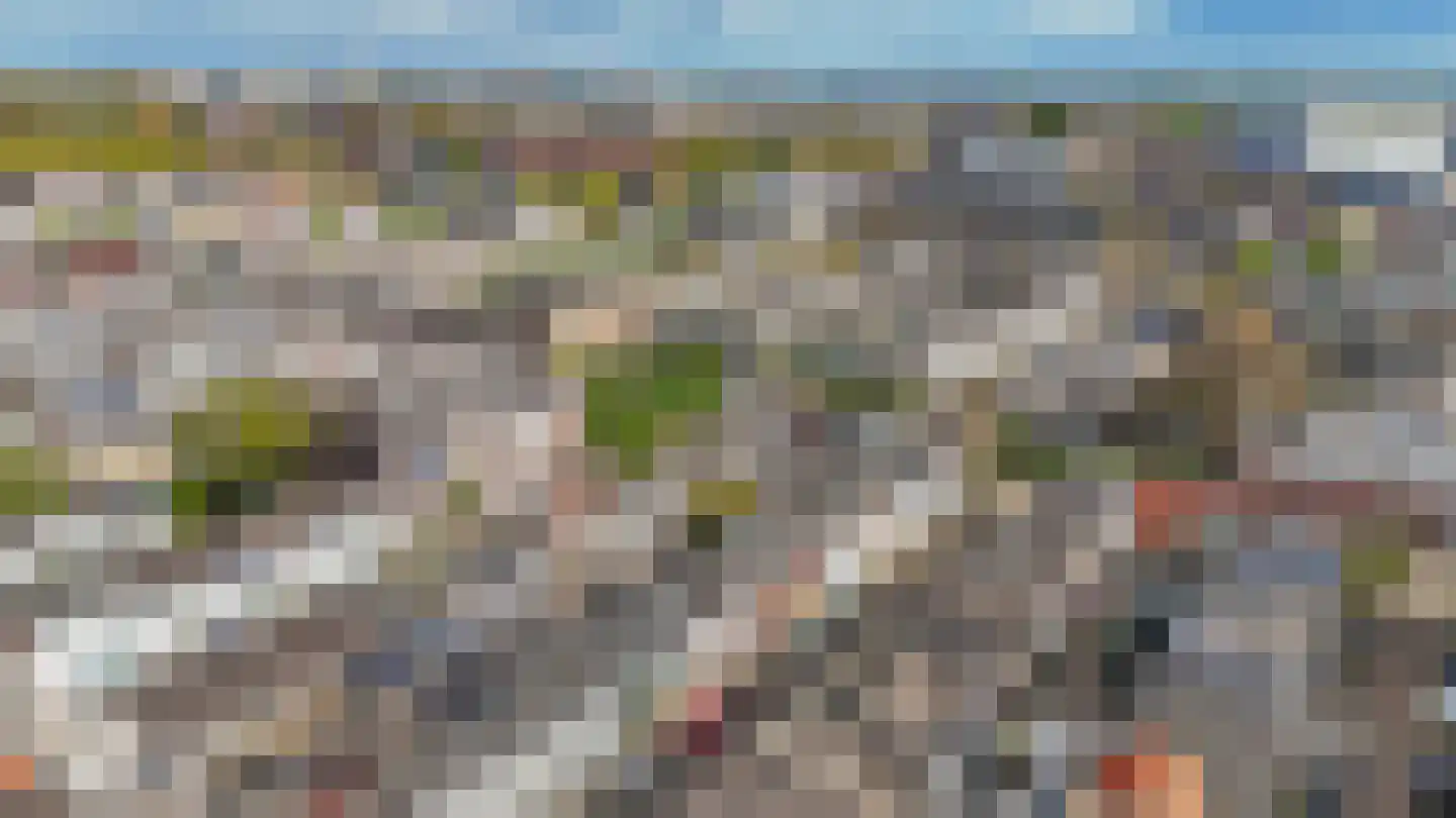 Zalmstraat 32 Schiedam thumbnail 35