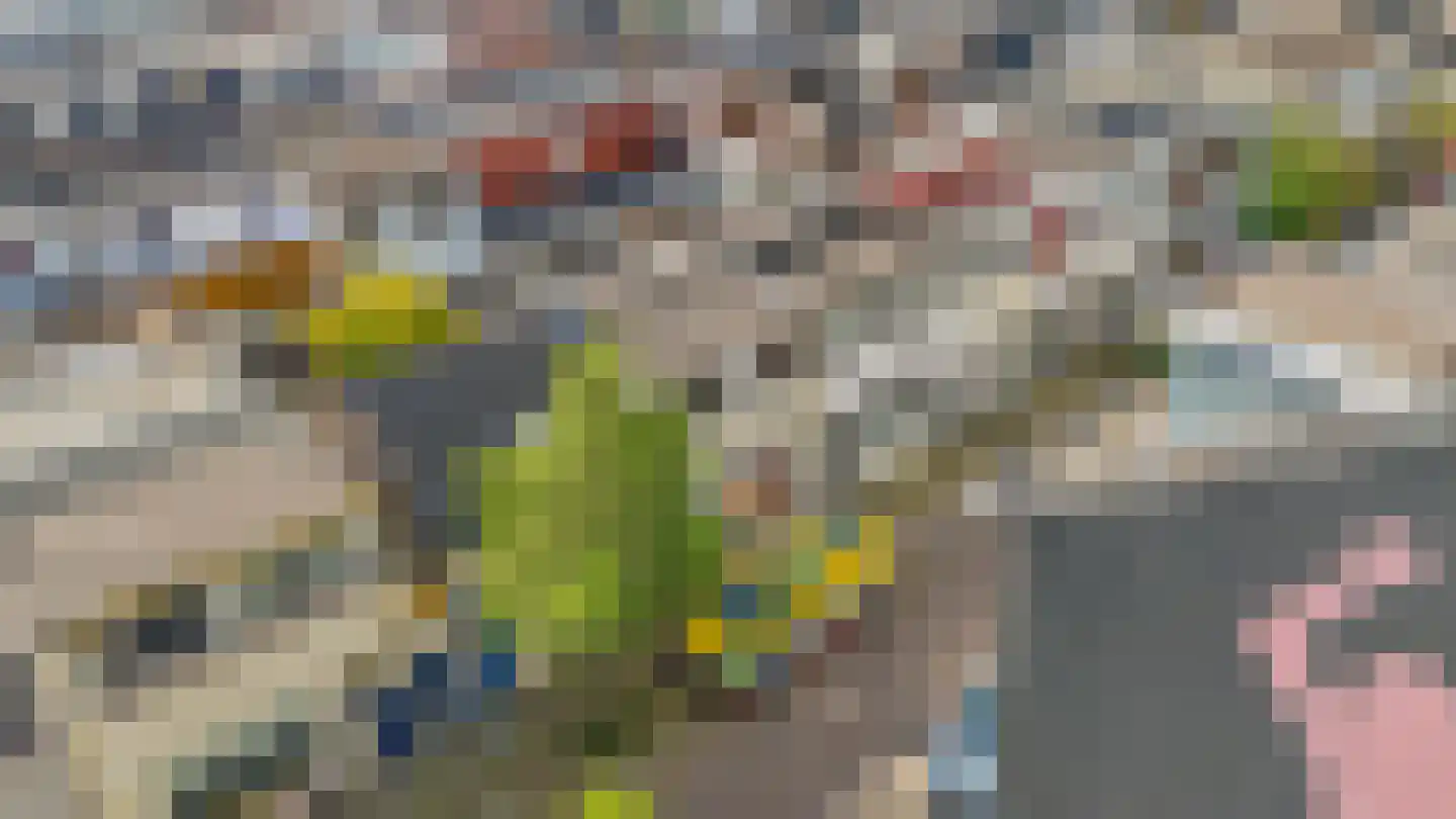 Zalmstraat 32 Schiedam thumbnail 38