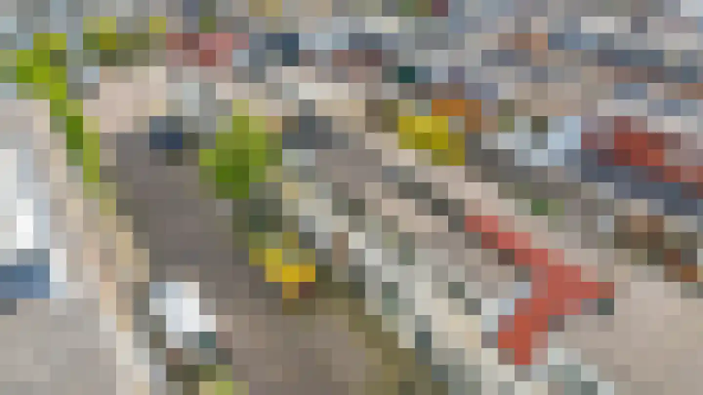 Zalmstraat 32 Schiedam thumbnail 4