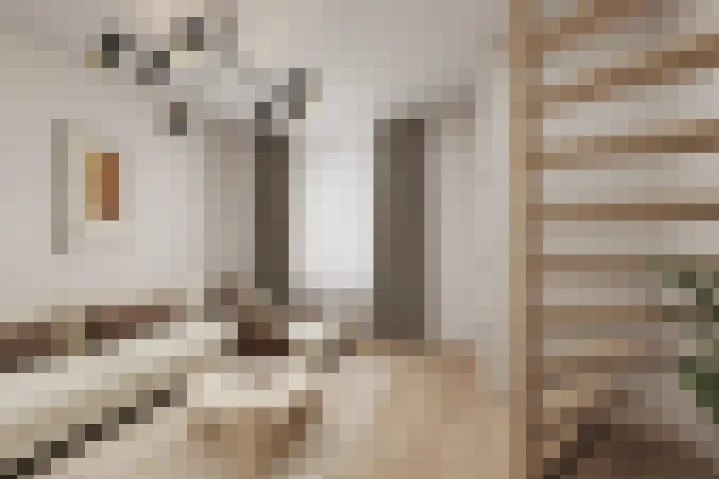Zalmstraat 32 Schiedam thumbnail 9