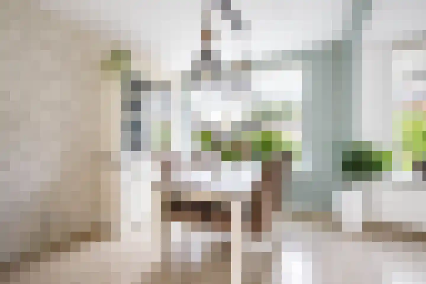 Zalmstraat 4 Ammerstol thumbnail 10