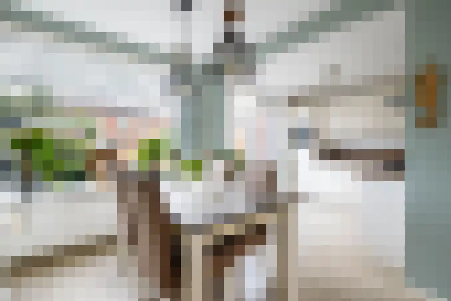 Zalmstraat 4 Ammerstol thumbnail 11