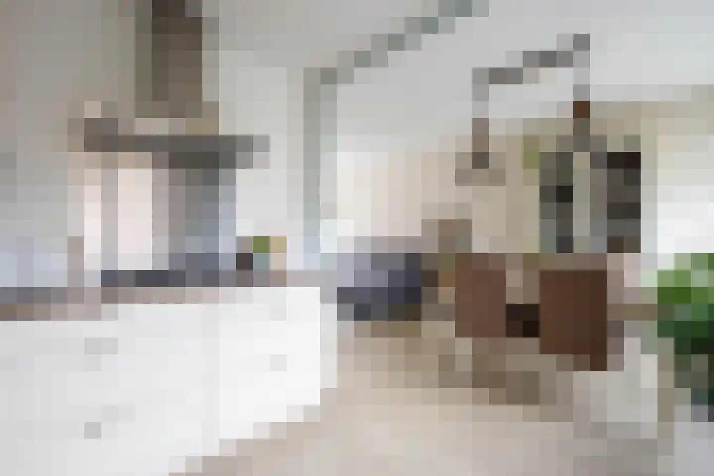 Zalmstraat 4 Ammerstol thumbnail 12