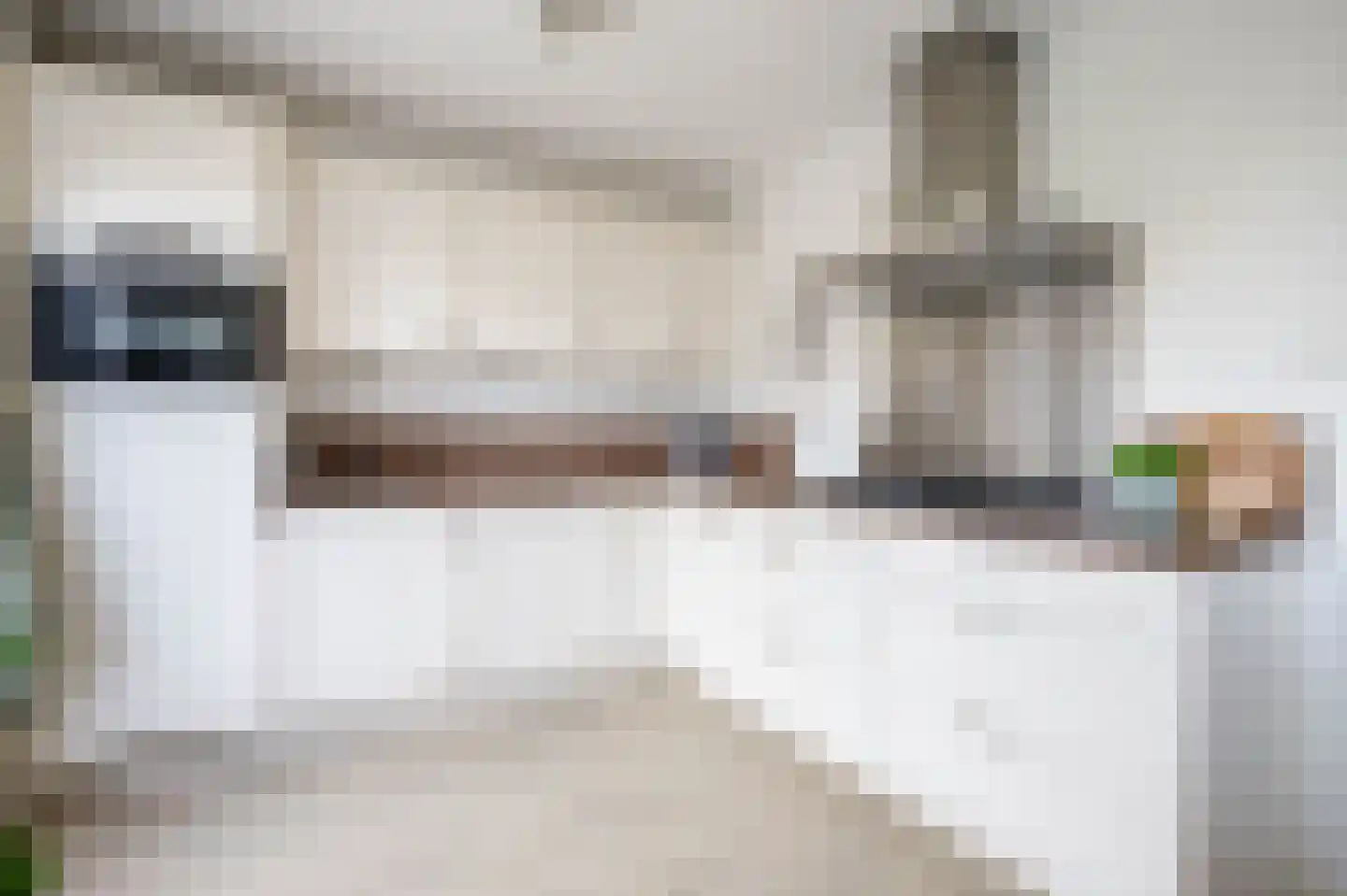 Zalmstraat 4 Ammerstol thumbnail 13