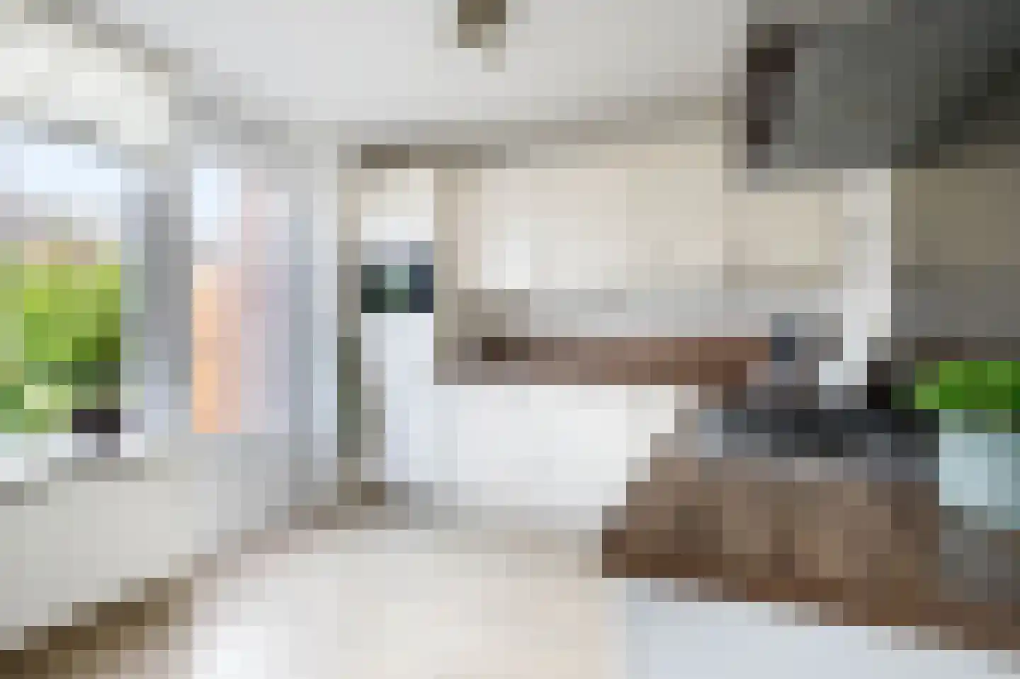 Zalmstraat 4 Ammerstol thumbnail 14