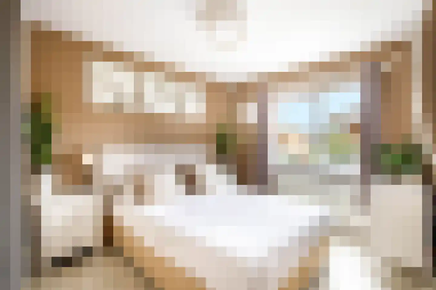 Zalmstraat 4 Ammerstol thumbnail 16