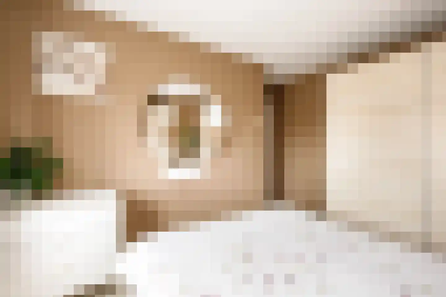 Zalmstraat 4 Ammerstol thumbnail 17