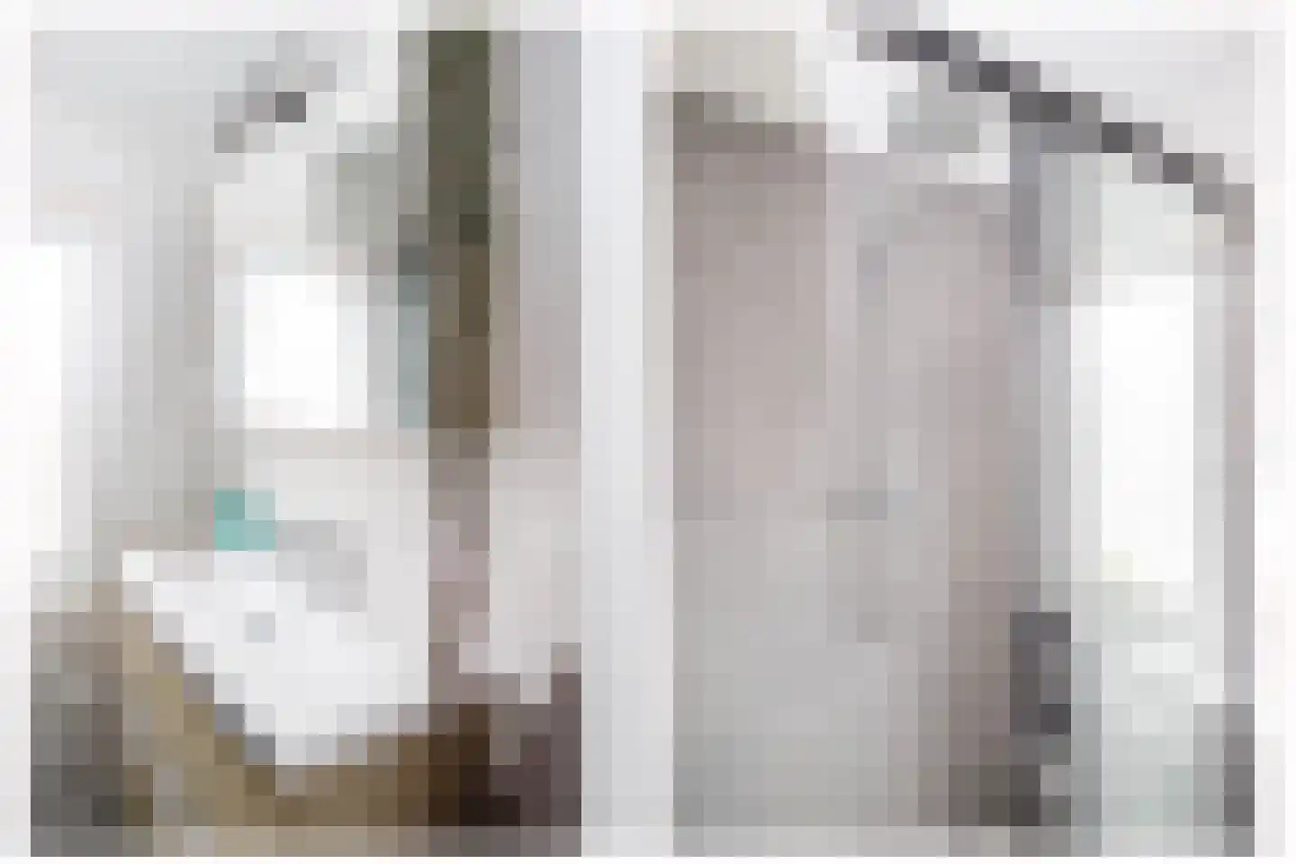 Zalmstraat 4 Ammerstol thumbnail 18