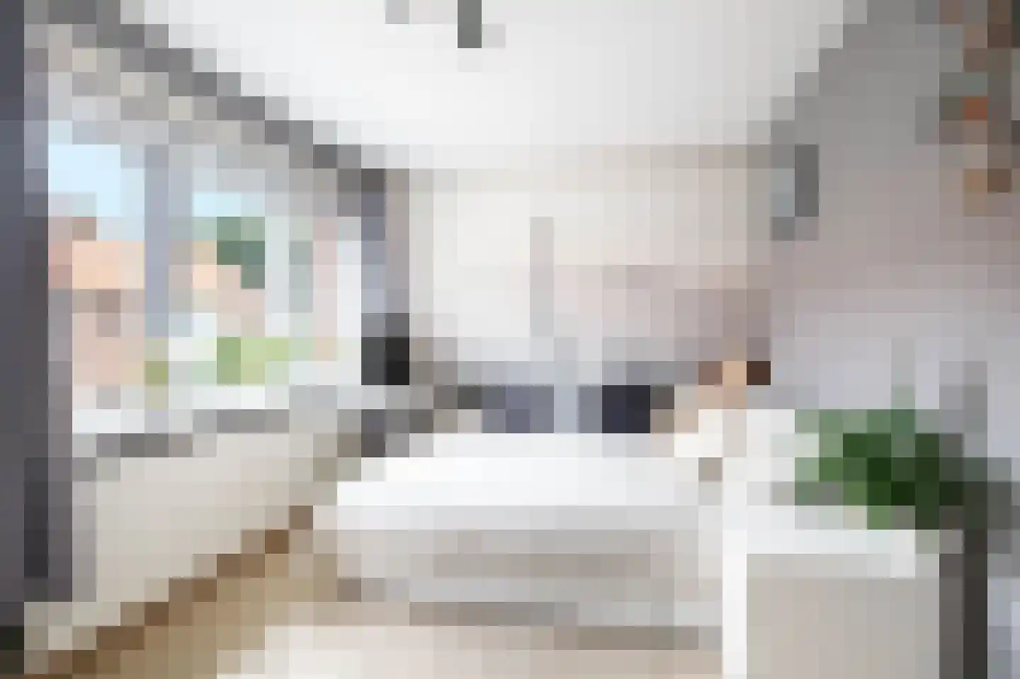 Zalmstraat 4 Ammerstol thumbnail 19