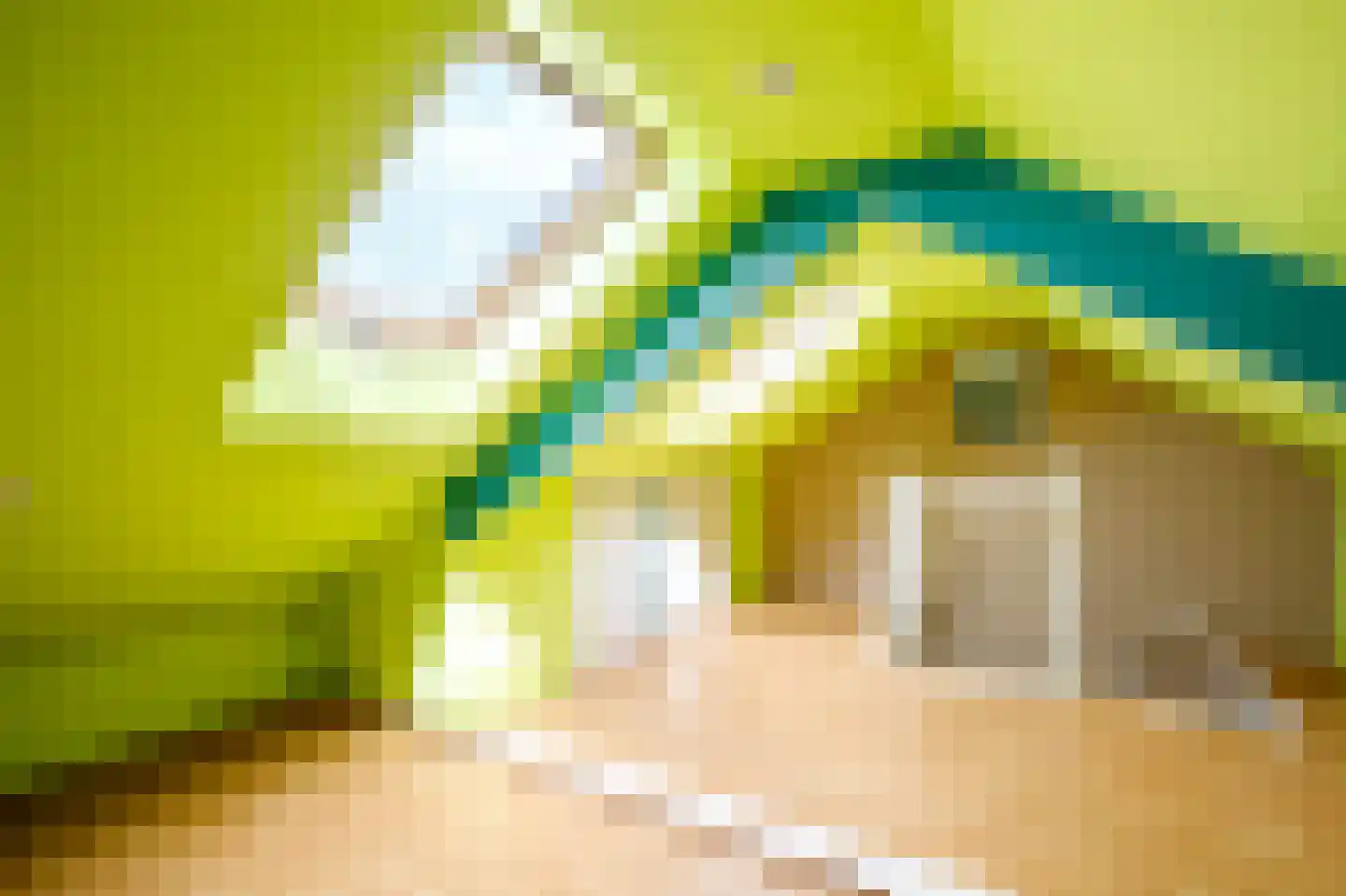 Zalmstraat 4 Ammerstol thumbnail 24