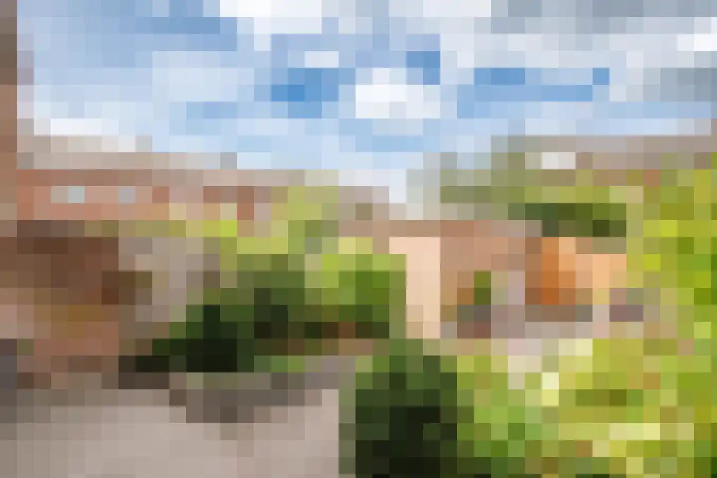 Zalmstraat 4 Ammerstol thumbnail 27