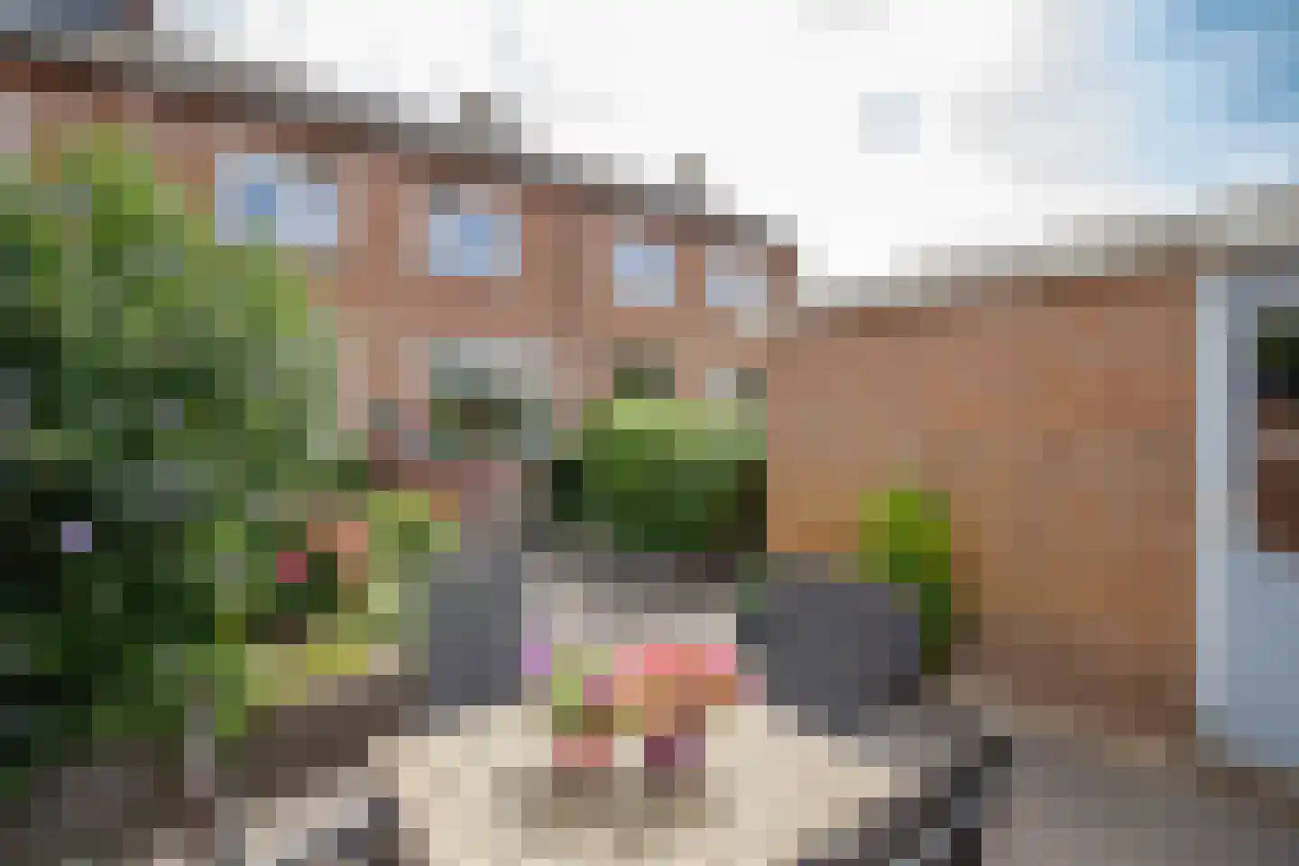 Zalmstraat 4 Ammerstol thumbnail 30