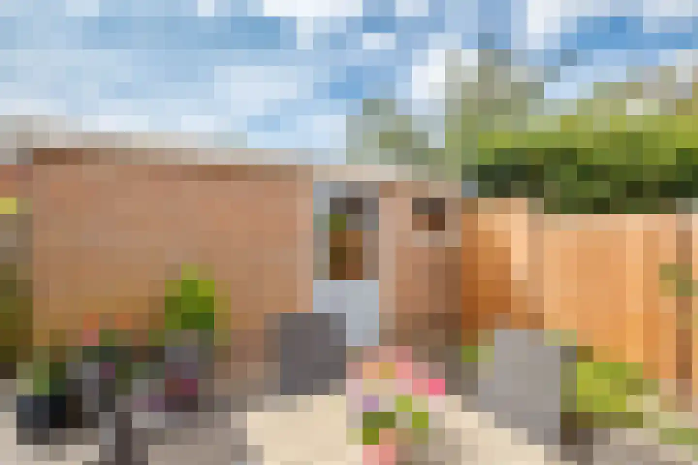 Zalmstraat 4 Ammerstol thumbnail 31