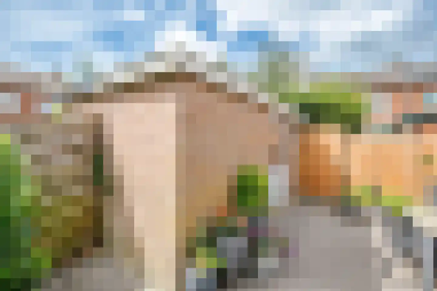 Zalmstraat 4 Ammerstol thumbnail 32