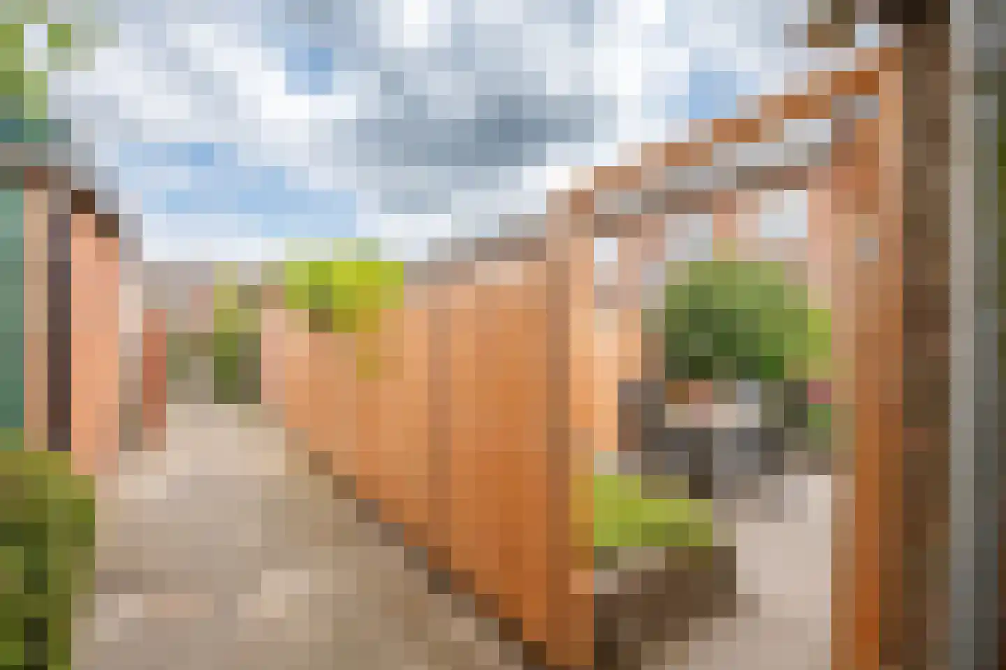 Zalmstraat 4 Ammerstol thumbnail 33