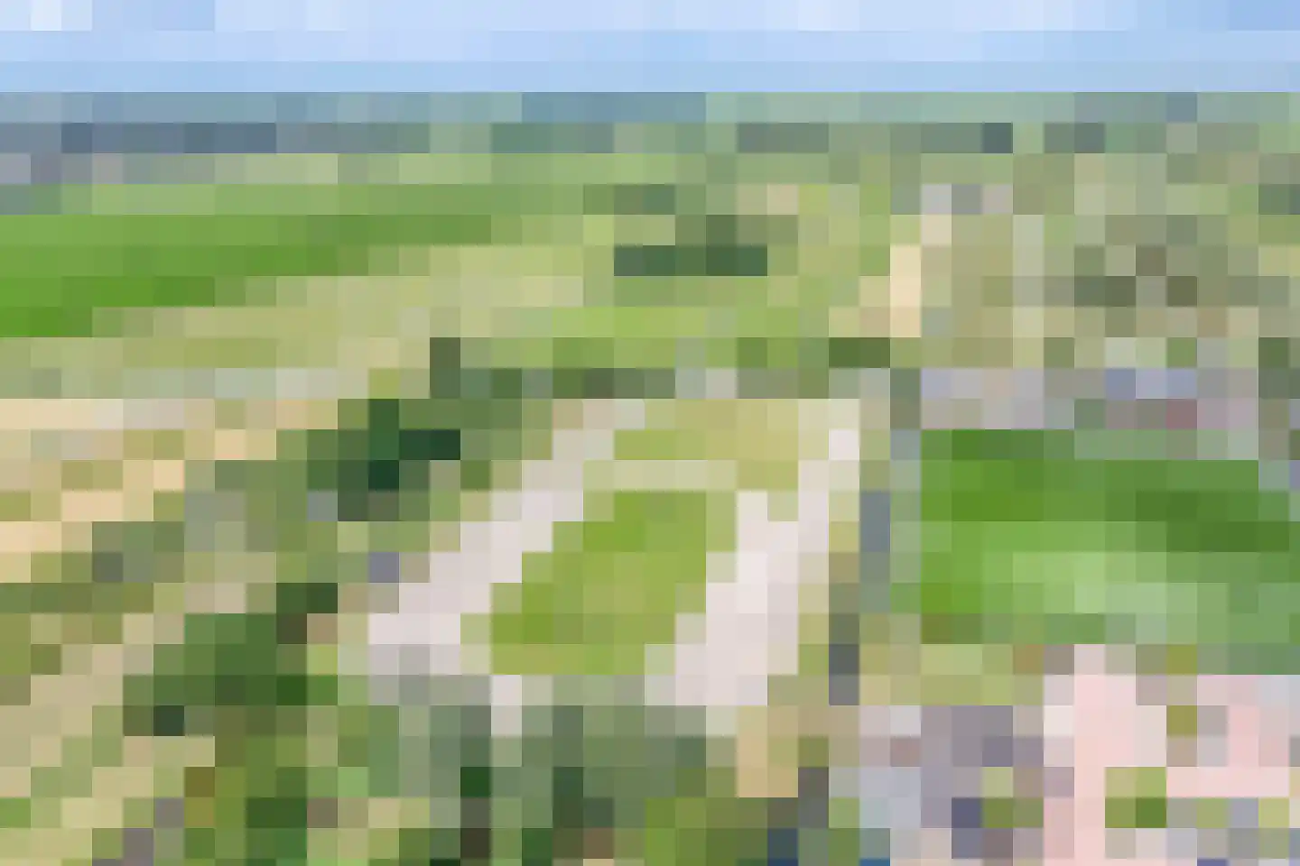 Zalmstraat 4 Ammerstol thumbnail 38