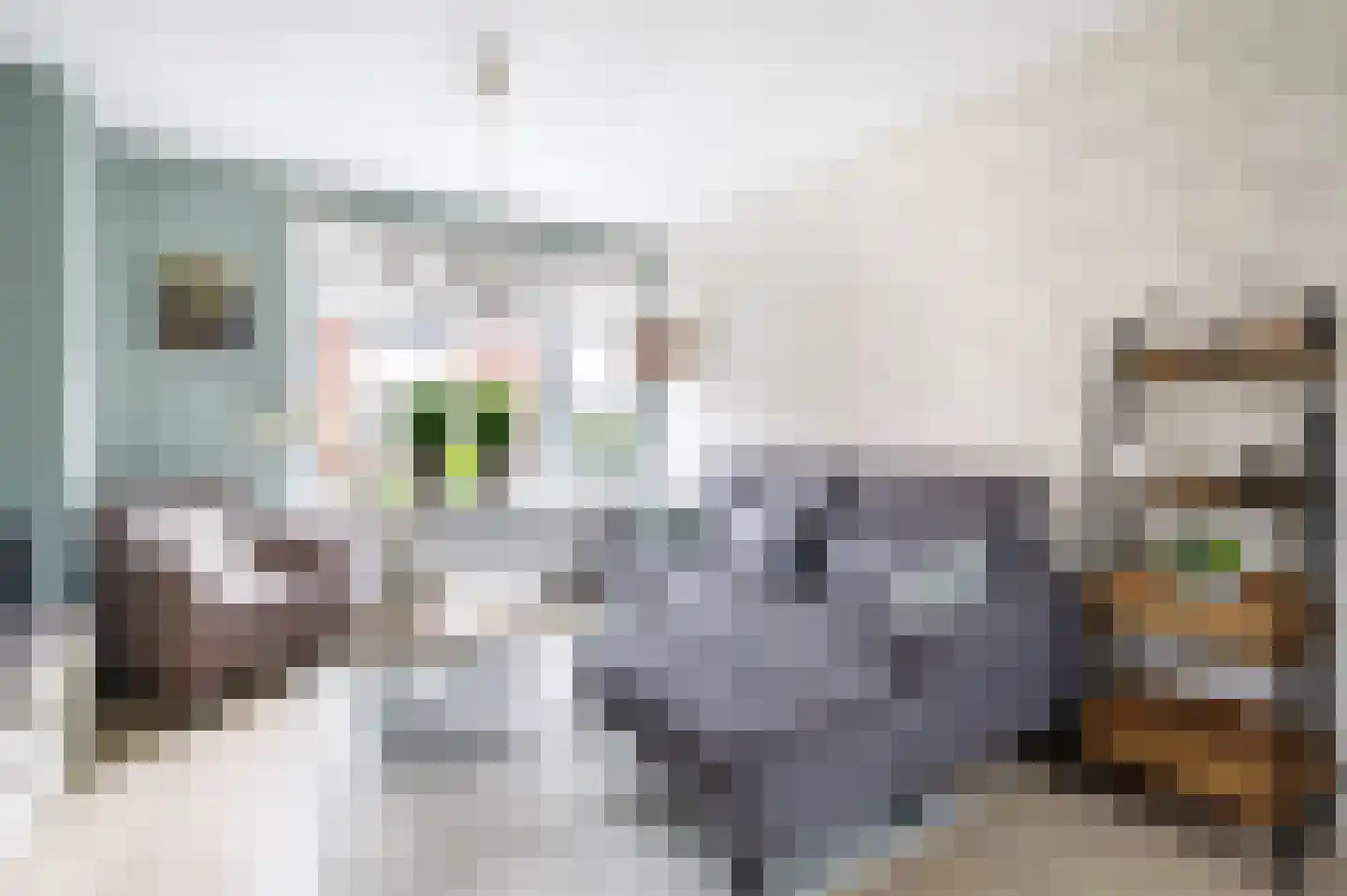 Zalmstraat 4 Ammerstol thumbnail 7