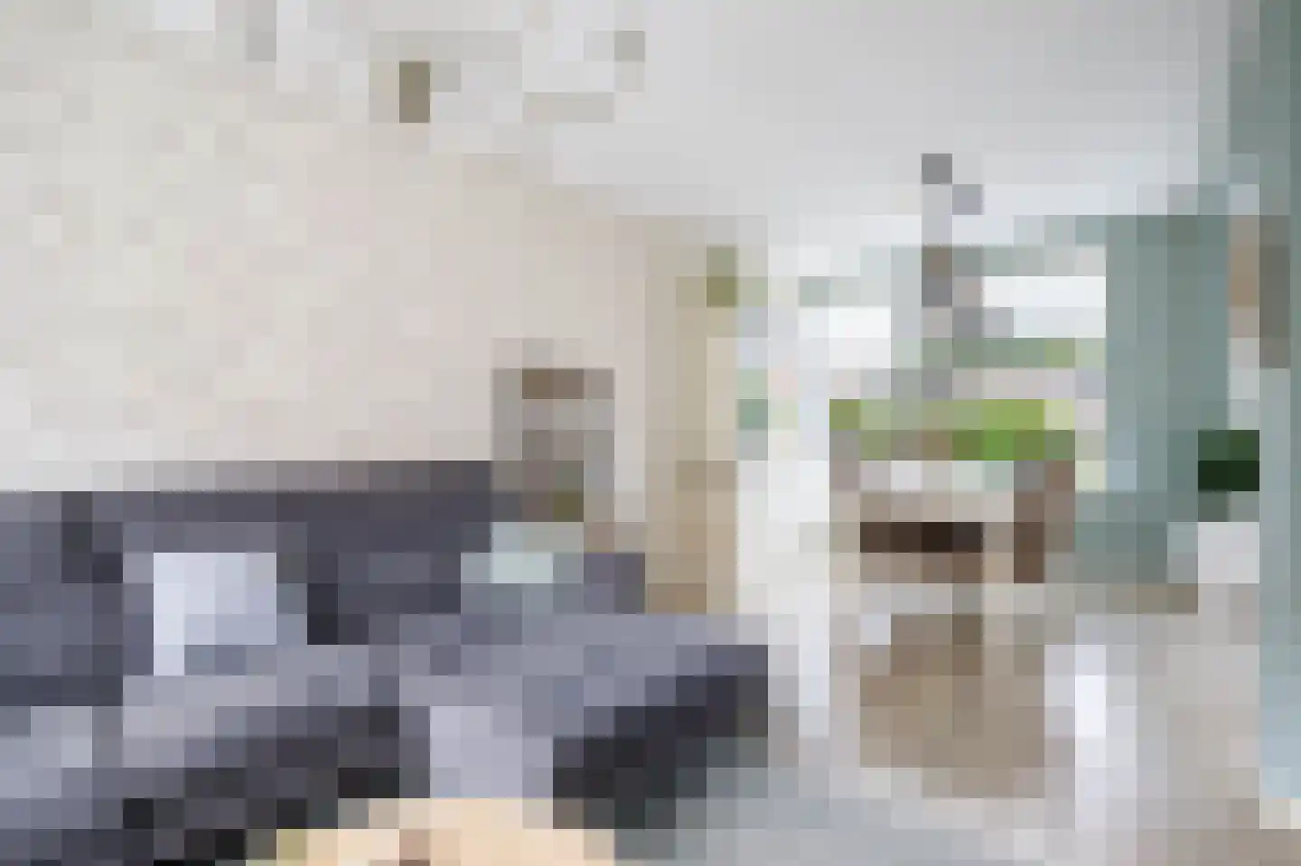 Zalmstraat 4 Ammerstol thumbnail 8
