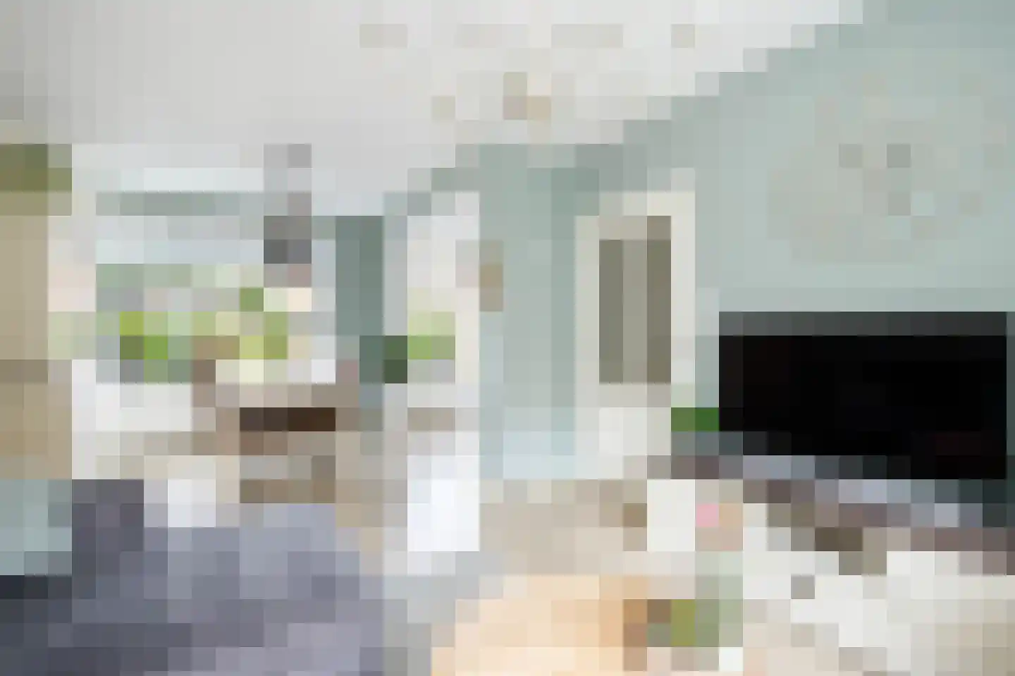 Zalmstraat 4 Ammerstol thumbnail 9