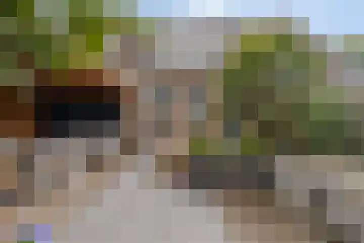 Zalmstraat 6 Woudrichem thumbnail 24