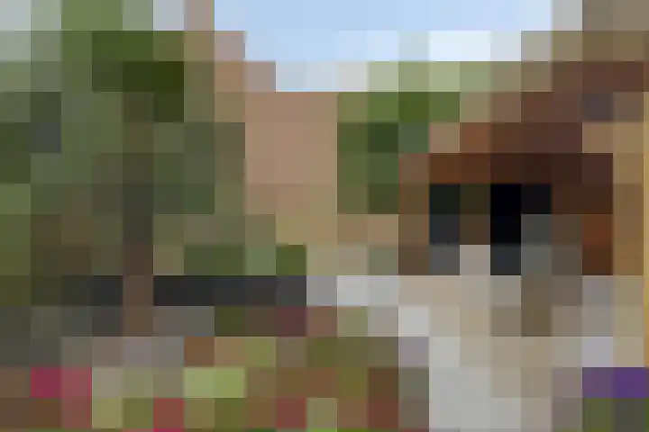 Zalmstraat 6 Woudrichem thumbnail 26