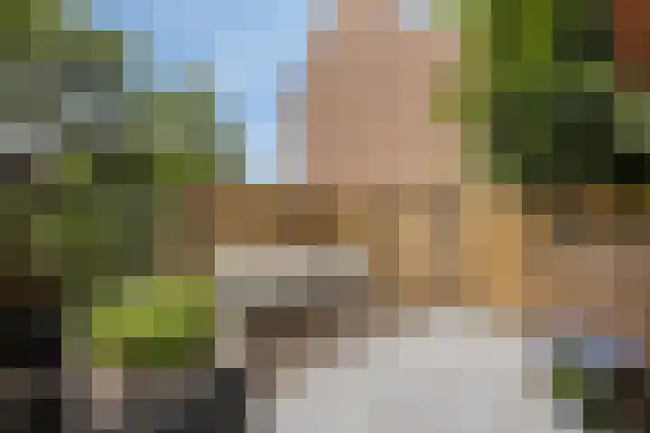 Zalmstraat 6 Woudrichem thumbnail 30