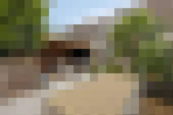 Zalmstraat 6 Woudrichem thumbnail 31