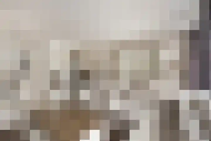 Zalmstraat 6 Woudrichem thumbnail 7